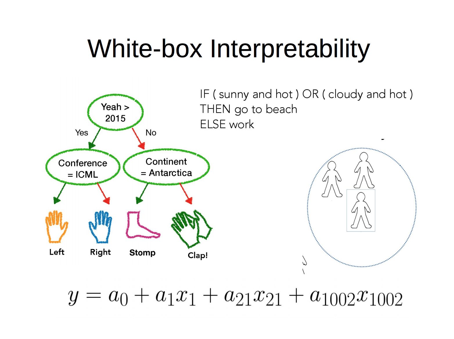 White-box interpretability